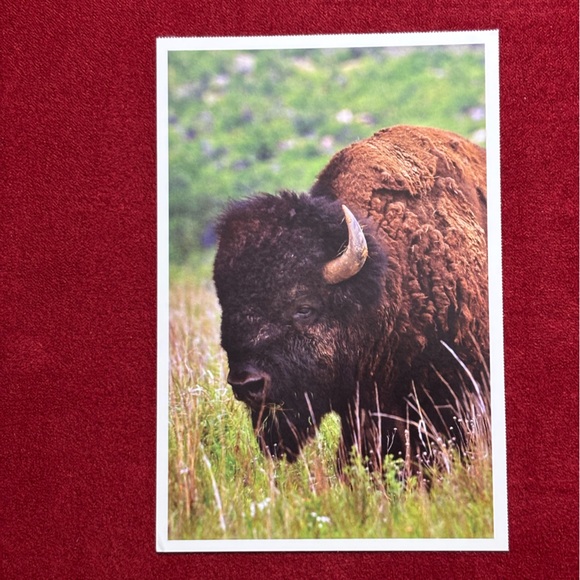 Vintage Oklahoma Scenic Postcards, 6 Unused - Picture 9 of 14